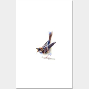 Angry sparrow watercolor bird print Posters and Art